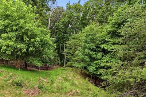 0 Owl Ridge Way Jasper GA 30143