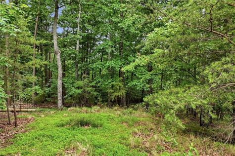 0 Owl Ridge Way Jasper GA 30143