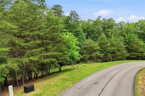 0 Owl Ridge Way Jasper GA 30143