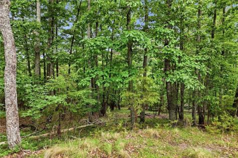 0 Owl Ridge Way Jasper GA 30143