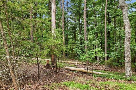 0 Owl Ridge Way Jasper GA 30143