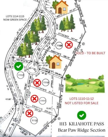 1113 Kiliahote Pass Dahlonega GA 30533