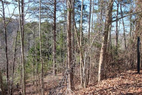 1113 Kiliahote Pass Dahlonega GA 30533