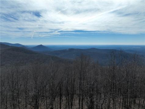 256 Blood Root Trail Ellijay GA 30536
