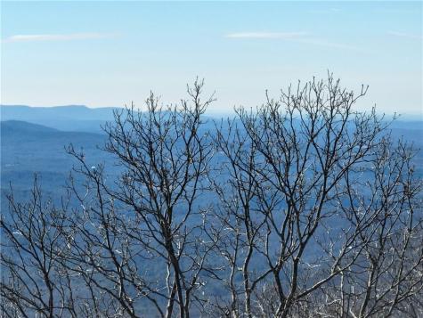 256 Blood Root Trail Ellijay GA 30536