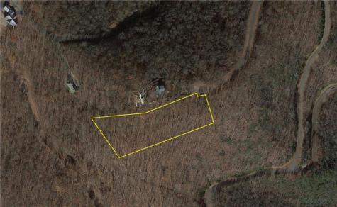 256 Blood Root Trail Ellijay GA 30536