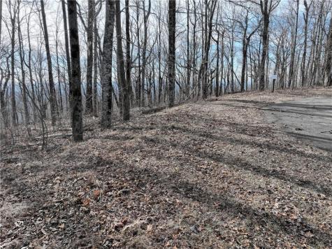 256 Blood Root Trail Ellijay GA 30536