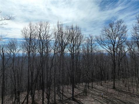 256 Blood Root Trail Ellijay GA 30536