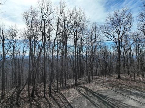 256 Blood Root Trail Ellijay GA 30536