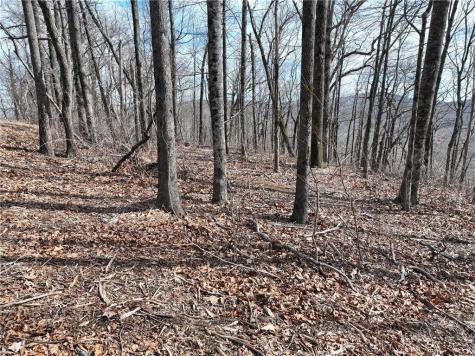 256 Blood Root Trail Ellijay GA 30536