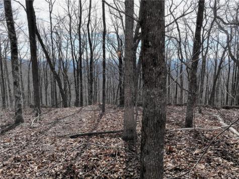 256 Blood Root Trail Ellijay GA 30536