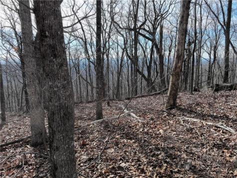 256 Blood Root Trail Ellijay GA 30536