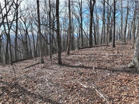 256 Blood Root Trail Ellijay GA 30536