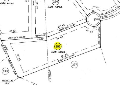 256 Blood Root Trail Ellijay GA 30536