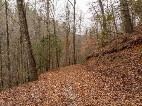 377 Soldiers Path Dahlonega GA 30533