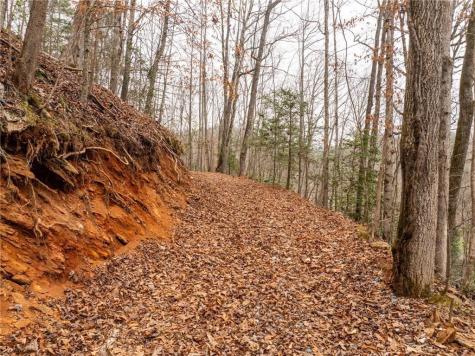 377 Soldiers Path Dahlonega GA 30533