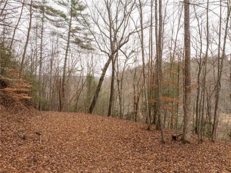 377 Soldiers Path Dahlonega GA 30533
