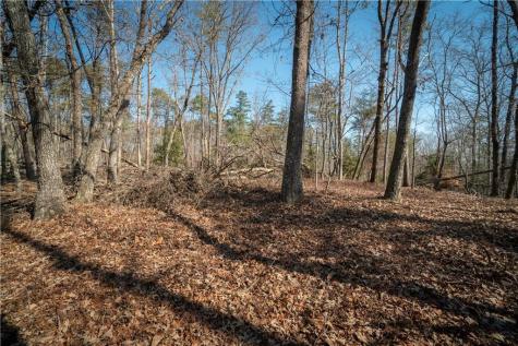 00 Jennys Cove Road Cleveland GA 30528
