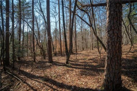 00 Jennys Cove Road Cleveland GA 30528