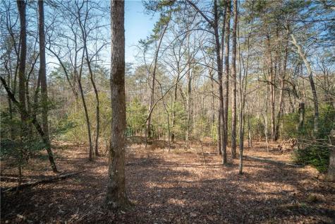 00 Jennys Cove Road Cleveland GA 30528