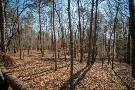 00 Jennys Cove Road Cleveland GA 30528
