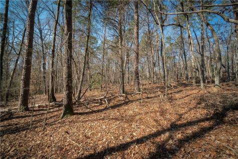 00 Jennys Cove Road Cleveland GA 30528