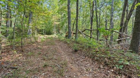 23 C Double Knob Road Cherry Log GA 30522