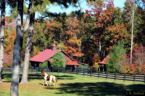 Lt 17r Tanager Trail Ellijay GA 30536