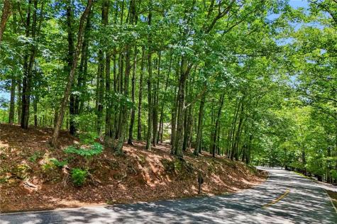 208 Columbine Drive Big Canoe GA 30143