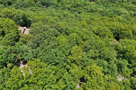 208 Columbine Drive Big Canoe GA 30143