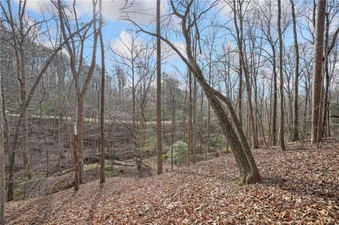 49 Old Stamp Mill Road Dahlonega GA 30533