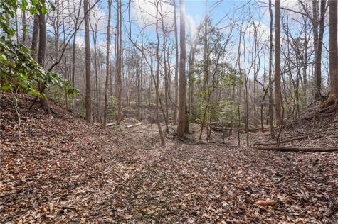 49 Old Stamp Mill Road Dahlonega GA 30533