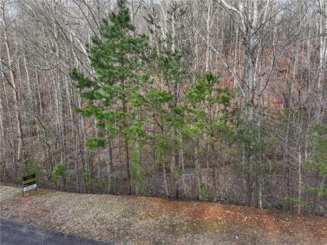 49 Old Stamp Mill Road Dahlonega GA 30533