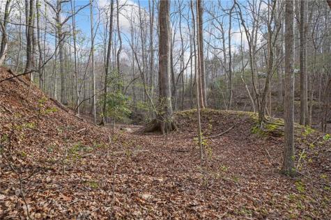 49 Old Stamp Mill Road Dahlonega GA 30533