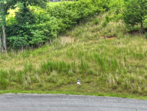 Lot 42 Big Valley Overlook Morganton GA 30560