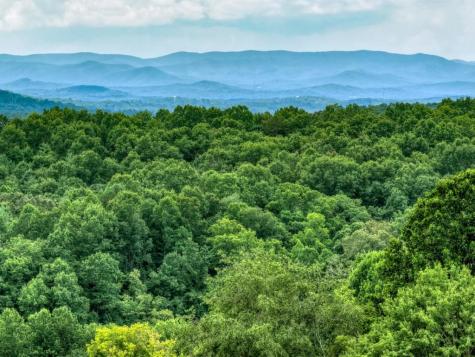 Lot 42 Big Valley Overlook Morganton GA 30560
