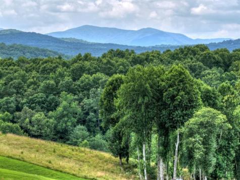 Lot 42 Big Valley Overlook Morganton GA 30560