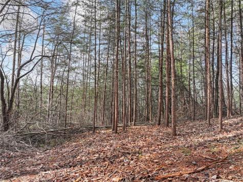 Lot 28 Crown Mountain Way Dahlonega GA 30533