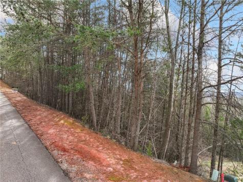 Lot 28 Crown Mountain Way Dahlonega GA 30533
