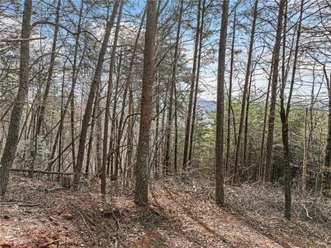 Lot 28 Crown Mountain Way Dahlonega GA 30533
