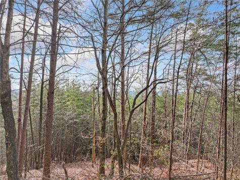 Lot 28 Crown Mountain Way Dahlonega GA 30533