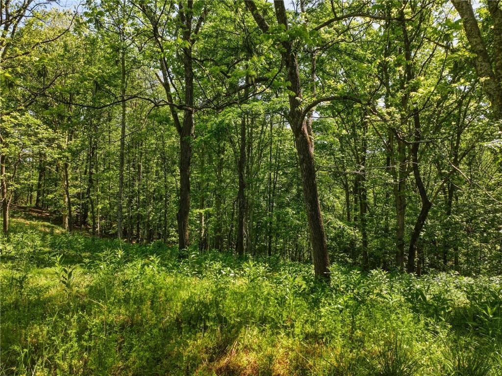 Lot 3 Summit Drive Dahlonega GA 30533