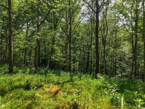 Lot 3 Summit Drive Dahlonega GA 30533
