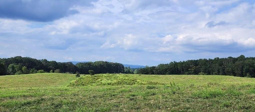 1340 441 Express Mount Airy GA 30563