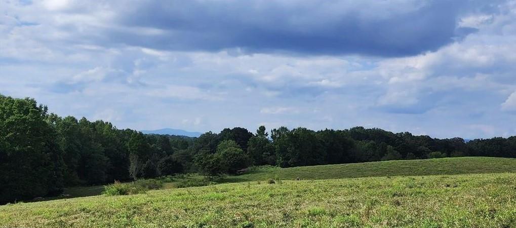 1340 441 Express Mount Airy GA 30563