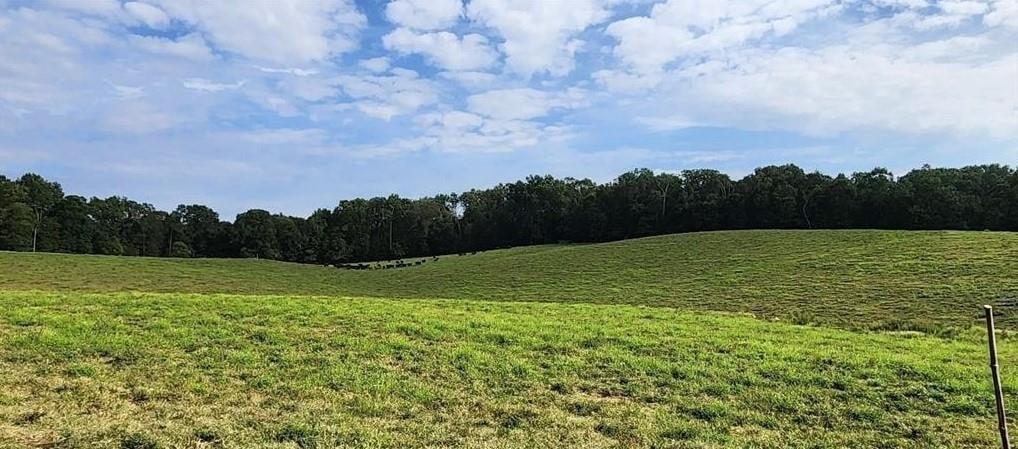 1340 441 Express Mount Airy GA 30563