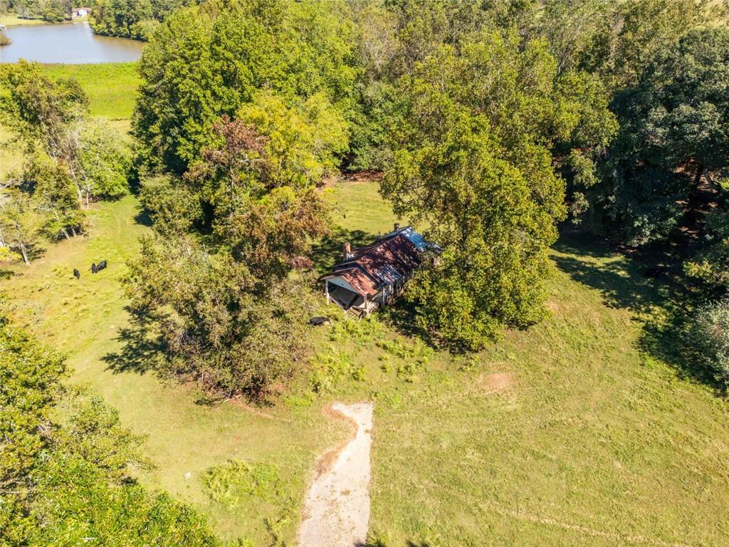 1340 441 Express Mount Airy GA 30563