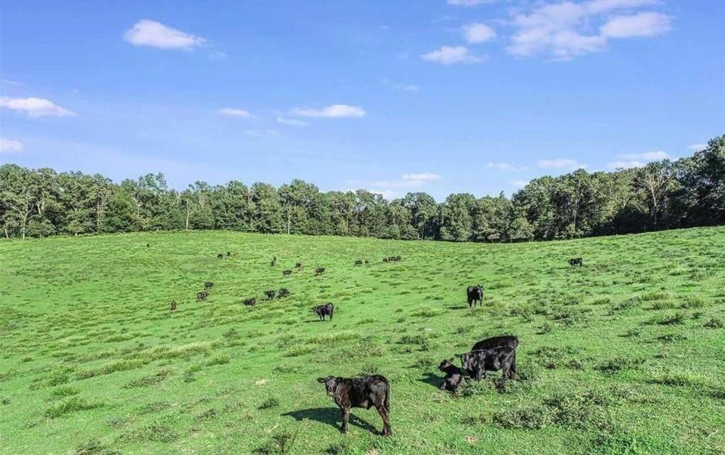 1340 441 Express Mount Airy GA 30563