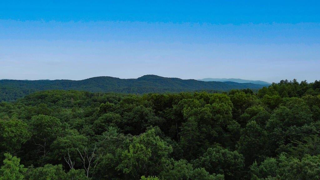 Lot 6 Allaire Lane Mineral Bluff GA 30559