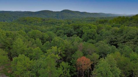 Lot 6 Allaire Lane Mineral Bluff GA 30559